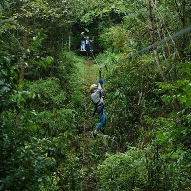 【西双版纳亲子】6天奢玩西双版纳亲子冬令营|为大象洗澡+丛林飞跃+学跳象脚鼓舞