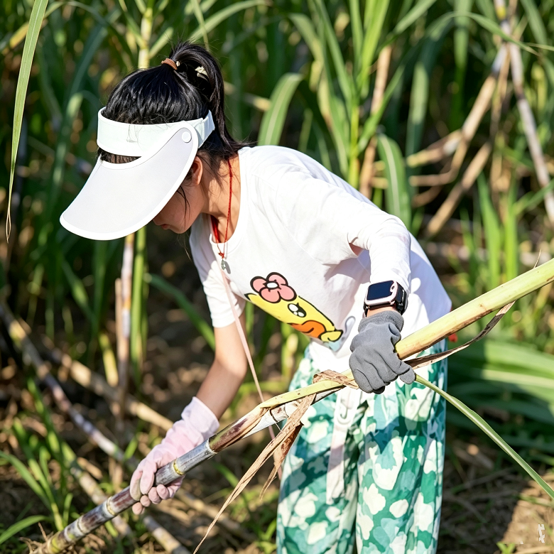 5天崇左生态亲子夏令营|伏那花溪雨林+明仕田园乡野+多民族非遗