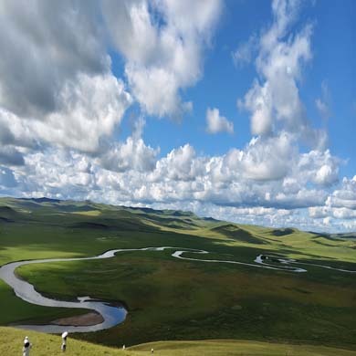 7天“林海鹿缘”研学夏令营|探草木生+寻生灵栖居+航空科普