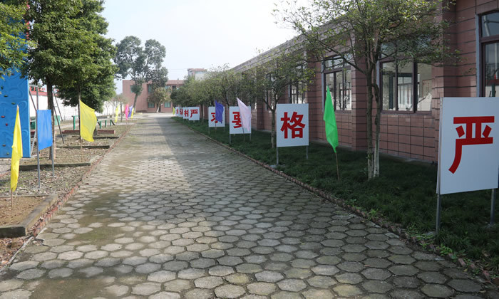 營地室外環(huán)境