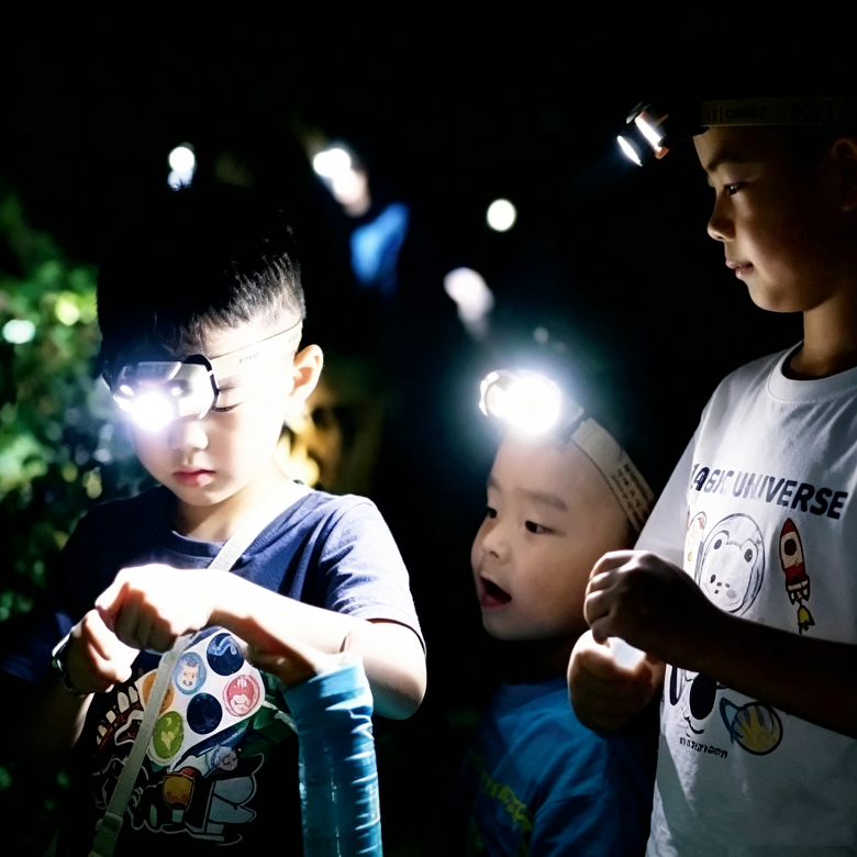 半日北京夜间昆虫自然侦探营|山林夜探观测+夜间昆虫科普+野外自然探索