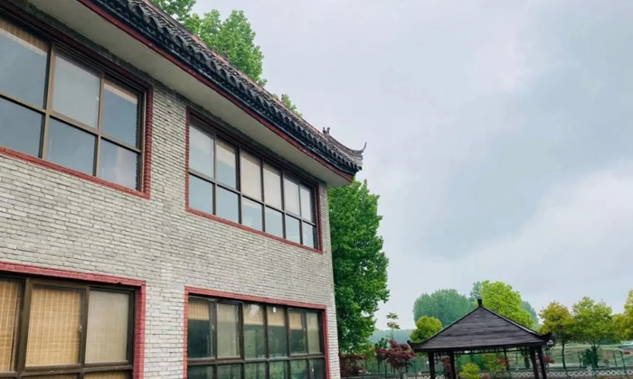 绿树环绕的屋子