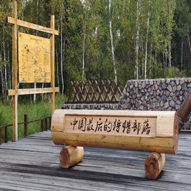 7天“林海鹿缘”研学夏令营|探草木生+寻生灵栖居+航空科普