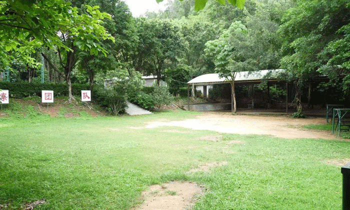 营内的绿化环境