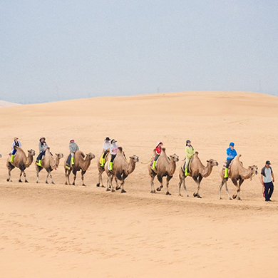 5天“童行大漠”沙漠野蛮生长夏令营|蒙元文化体验+户外运动技能