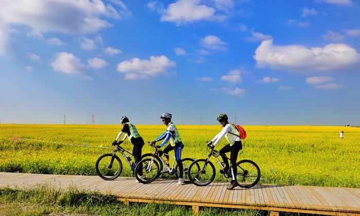 漫步在油菜花的风景中