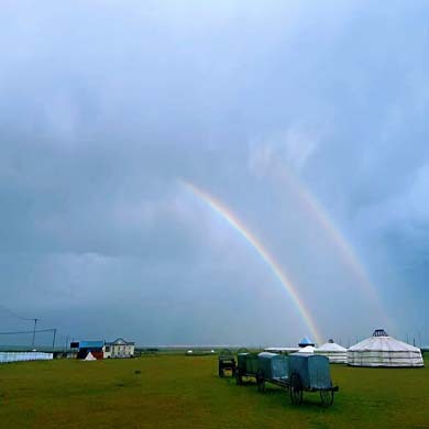7天“林海鹿缘”研学夏令营|探草木生+寻生灵栖居+航空科普