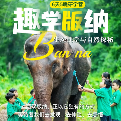 【西双版纳独立】6天趣玩版纳奇幻之旅冬令营|守护亚洲象+雨林探秘+夜游植物园