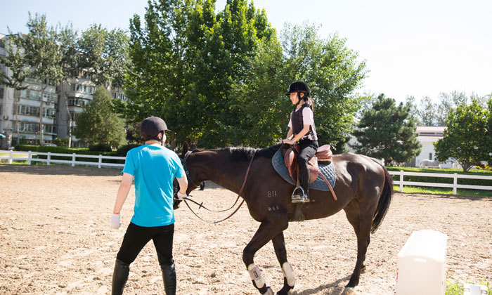 學習騎馬