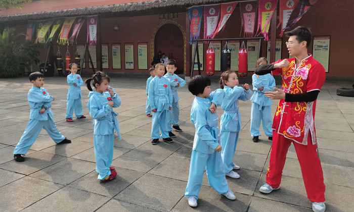 拳術(shù)簡(jiǎn)短套路