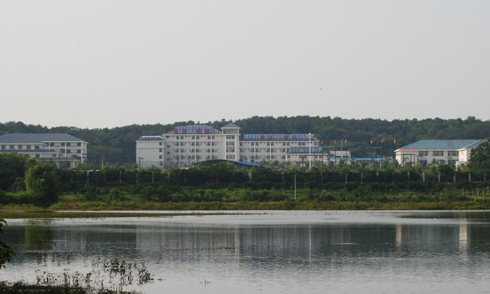 战狼集结号军事夏令营环境