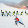 2026专业记录团队+教学视频直拍|5天亚布力（双板初级）滑雪冬令营（哈尔滨）