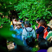 【西双版纳亲子】5天版纳趣野夏令营|专家讲座+雨林沉浸趣玩+大象专属义工