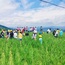 4天品民族风情，观大国重器贵州亲子夏令营|领略苗族民俗+原生态饮食+探秘大国重器