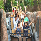 【新加坡亲子】6天城市探索夏令营|顶级经典IP+探访国立大学+环球影城