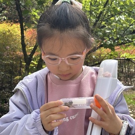 2026限定|全年10场自然之约，带孩子解锁藏在四季里的生命密码