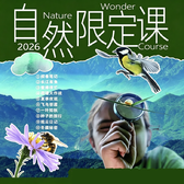 2026限定|全年10场自然之约，带孩子解锁藏在四季里的生命密码