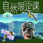 2026限定|全年10场自然之约，带孩子解锁藏在四季里的生命密码