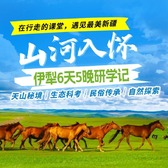 6天“山河入怀”伊犁研学夏令营|走进赛里木湖+驰骋那拉提草原+漫步天山花海