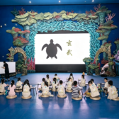 2天海洋馆奇妙夜独立营｜海底帐篷夜宿+投喂海龟海豚+鲨鱼后厨探秘