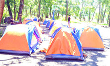 营地帐篷-野外营