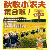1日秋收研学营|割稻打谷+稻草DIY+乐园畅玩