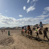 【甘肃独立】8天丝路华章·河西拾光探索夏令营|国宝对话+重走商旅驼队+解码莫高窟