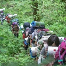 7天神农架原始森林探险营｜密林负重徒步+荒野野炊露营+原始山林历练
