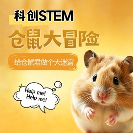 1日仓鼠历险记【泰州】|探索仓鼠的奥秘+设计迷宫图+搭建仓鼠迷宫装置