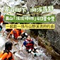 4天黄山溪流博物研学夏令营丨探索黄山秘境+解锁溪流博物课+野猴之谷