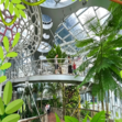 1日雨林沙漠植物探索营|多气候温室生态+植物生理专业+园林导师面对面