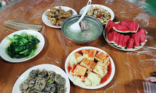 饭后水果