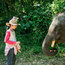 【西双版纳独立】5天保育亚洲象+见证生物多样性+傣寨人文|雨林科考探索夏令营