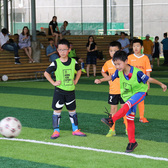 足球10天运动启蒙夏令营（全天）