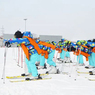 2026系统学习技能课程+专属训练任务|5天东北亚（双板高级）滑雪冬令营（沈阳）