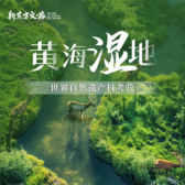 【南京-盐城独立】6天黄海湿地·世界自然遗产科考夏令营