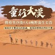 5天“童行大漠”沙漠野蛮生长夏令营|穿越腾格里+沙海观星+拉弓搭箭