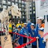 【承德】5天草原写生夏令营|用画笔打开世界+全程外教
