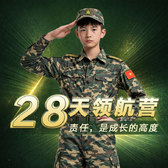 28天军事将帅领袖领航营