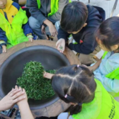 1日小茶农养成营|上山采茶+林下茶会+制茶体验