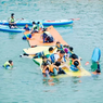 【杭州】6天千岛湖·少年派的奇幻漂流运动探索成长夏令营|帆船+骑行+攀岩+溯溪