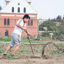 5天恩农-绝地求生冬令营|植物奇幻之旅+都市生存特训+航空脱险