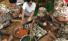 动手包饺子