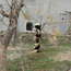 熊猫王国自然科学研学营（成都）