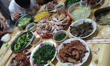午饭菜色