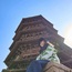 6天一路向北人文地理研学营|乡野国宝古建+晋地走廊地貌+边塞交融古文明