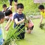 5天山区变形计夏令营