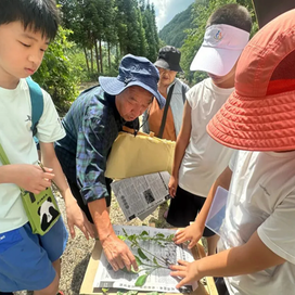 【北京-秦岭亲子】5天秦岭科考夏令营|入驻自然保护区+与专家一起自然科考