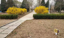 营地小路