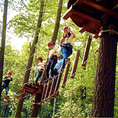 森林探险家4天探索夏令营